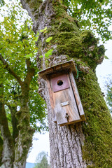 Die farbige und schöne Natur im Herbst und Winter