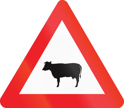 recommend clip art: Belgian warning road sign - Livestock crossing