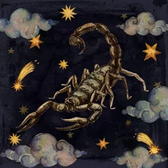 Foto op Canvas Zodiac sign - Scorpio.  Watercolor Illustration. © nataliahubbert