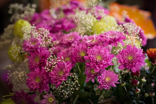 Flowers in florist shop