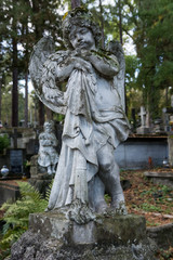 Fototapeta na wymiar Cmentarz, Święto zmarłych - wszystkich świętych