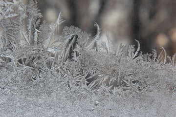 the unusual frost on a winter window