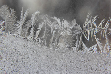 the unusual frost on a winter window