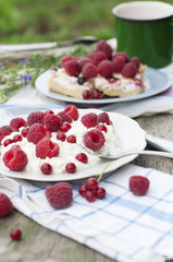 Cottage cheese with raspberry and currant