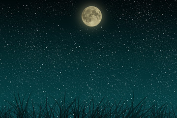 Fototapeta na wymiar Beautiful blue night starry sky with full moon and growing grass