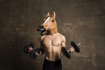 fitness horseface training something muscles