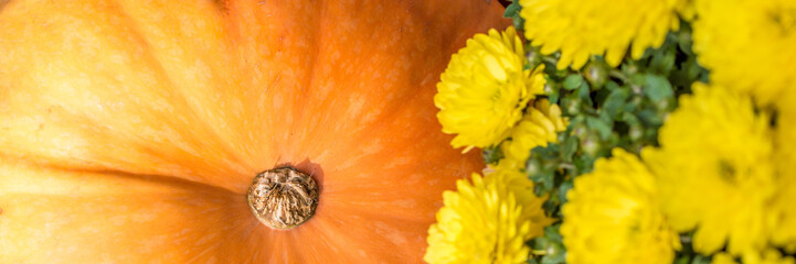 Kürbispanorama mit Blumen als Herbstdekoration