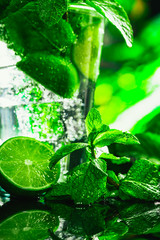 glass of mojito with lime and mint close-up ice cube on a dark background