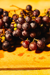 Berries ripe red grapes on a branch close-up   blurred background
