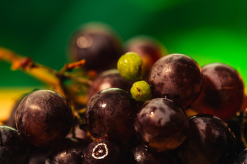 Berries ripe red grapes on a branch close-up   blurred background