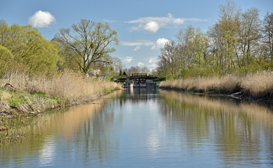 Fototapeta na wymiar Rzeka Biebrza tuż przed Śluzą Dębowo na Kanale Augustowskim