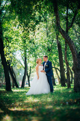 couple bride and groom on the background of the park's trees