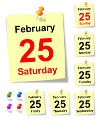 25 February, sheet of calendar. vector