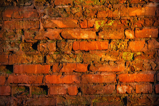 Old red brick wall at sunset. Background texture brick