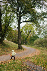 Fototapeta premium Little girl in the autumn park. pathway