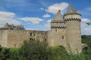 Fototapeta na wymiar Schloss (Château) Suscinio bei Vannes
