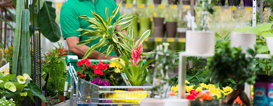 Banner Kunde mit Einkaufswagen im Gartencenter
