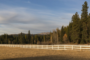 Fall - Field, Fence and Sky