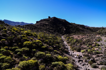 Volcanic Rock Basaltic Formation in Gran Canaria