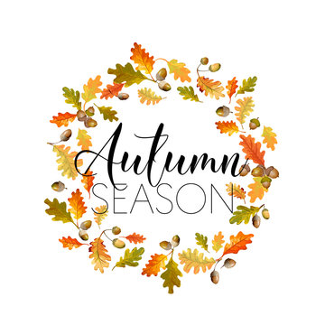 Colorful Autumn Leaves Background. Floral Banner Design in Vector