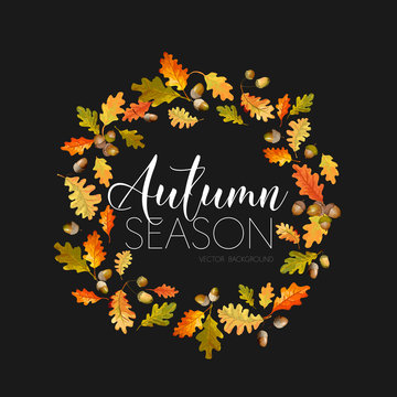 Colorful Autumn Leaves Background. Floral Banner Design in Vector