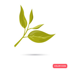 Color flat tea leafs icon. Flat design