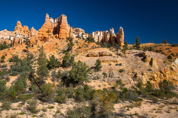 Fototapeta premium Bryce Canyon in Utah, USA.