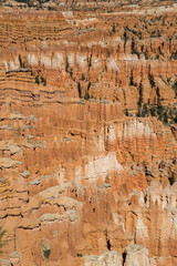 Bryce Canyon in Utah, USA.