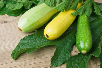 zucchini with leaves