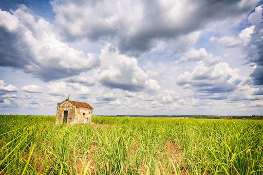 Abandoned old chapel inside a sugar cane plantation in Brazil