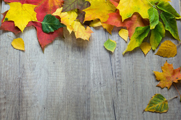 Naklejka na ściany i meble background from autumn leaves on the wood