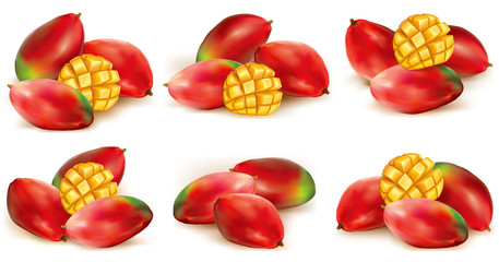 Set of mango illustration