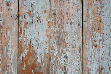 old painted wall of wooden planks
