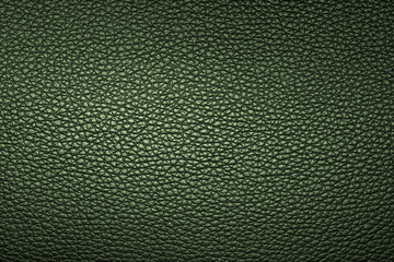 Green leather texture or leather background for design with copy space for text or image.