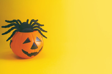 spider in the cup orange