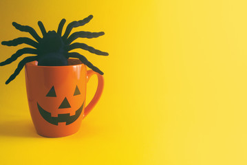 spider in the cup