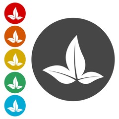 Three green leaf logo. Natural plant symbol