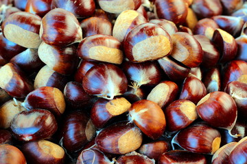 castagne