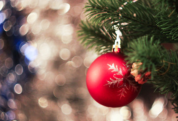 Christmas toy on the Christmas tree. 