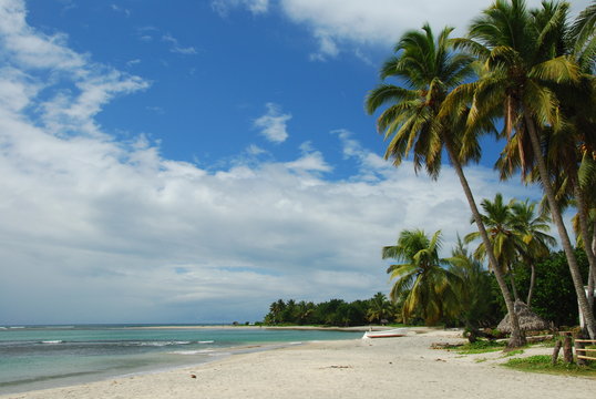 Plage tropicale