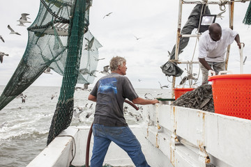 Commercial fishermen taking in catch