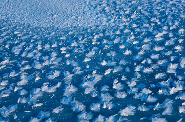 the snow on the ice