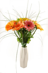Fototapeta premium Assorted gerbera bouquet in a minimalist assymetrical white vase, isolated on white background