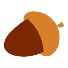 Dried acorns flat vector illustration.