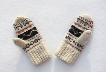 Mittens in the snow