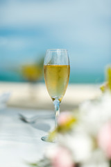 Champage Glass