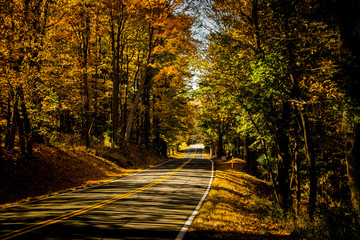 Fall in Rock City