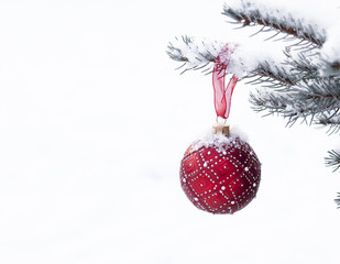 Christmas ball on the fir branch covered with snow on white back
