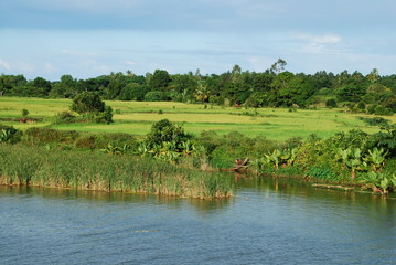 Rive de fleuve tropical