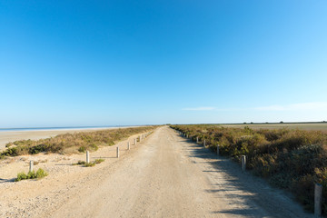 Dirt road in arid lagoon landscape of Camarque, France